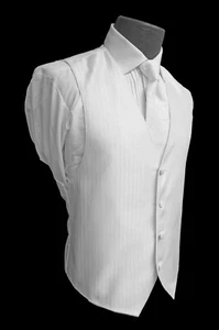 Men's Jean Yves White Tuxedo Vest & Paisley Tie Mason Wedding Groom Prom LL Tall - Picture 1 of 4