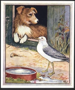 Vintage Print by Unknown Artist: Dog and Seagull. 14 x 16 cm. Free UK p&p - Picture 1 of 1
