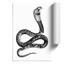 Viper Snake Illustration Animal Vintage  Unframed Wall Art Poster Print Decor