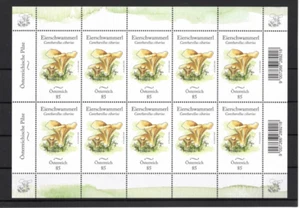2020 Österreich Eierschwammerl Echter Pfifferling Cantharellus cibarius Pilz Klb - Picture 1 of 1