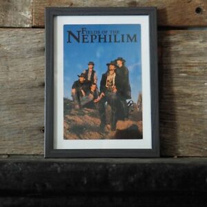 Fields Of The Nephilim., carte postale de collection, whimsygoth