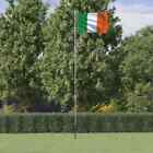 Irland Flagge und Stange 6,23 m Aluminium
