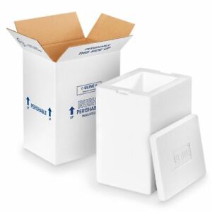 Insulated Foam Shipping Kit - Choose your size - Includes Reusable Ice Gel Packs