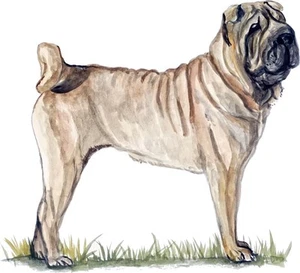 Shar Pei Dog Triple Sticker Decal Quality Helmet Equipment Cooler Puppy - Picture 1 of 1