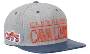 Mitchell & Ness Cleveland Cavaliers Gray Top Shelf Leather Bill Snapback OSFM - Picture 1 of 8