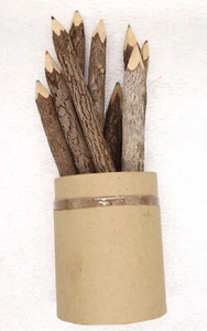 Lot 10 Set Colored Pencils Made w/ Real Wood Branches Unused w/ Cardboard Holder - Picture 1 of 12