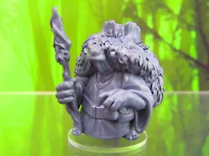 Tortle Druid Turtle Man Mini Miniature Figure 3D Printed Model 28/32mm Scale - Picture 1 of 6