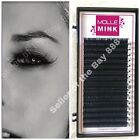 MOLLE Mink Tray Volume Lashes D curl For Individual Eyelash Extensions 16 Lines