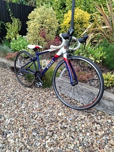 Higgins Rouen 540 24" Bike - Picture 1 of 6
