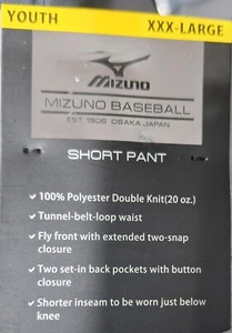 PANTALÓN CORTO DE BÉISBOL MIZUNO GRIS JUVENIL - Imagen 1 de 4