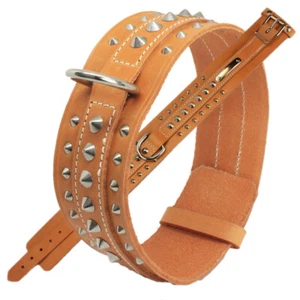 klassisch englisches Hundehalsband m 3 R Ziernägeln, Halsband Boxerhalsband  - Bild 1 von 1