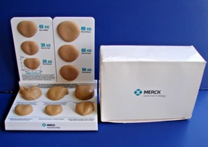 Anatomical Displays Merck Urology Prostate Samples Model Education Unused in Box - Picture 1 of 18