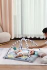 LADIDA Padded Space-Tour Baby Activity Playmat Play Gym  Mat Grey Arch Toys