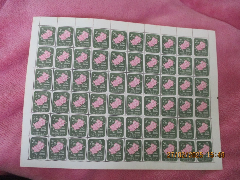 Isla Norfolk 1960 - Flor 2d - U/M MNH Hoja Completa de 60 - SG25 Foto 1 de 3