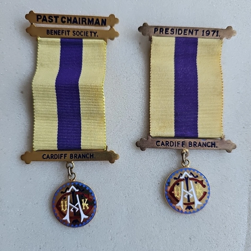 Commercial Travellers Association Enamel Jewel Medals President Chairman 60s/70s - Image 1 of 4