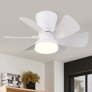Ceiling Fans with Lights, 22 inch Low Profile Ceiling Fan with Light and Remo... - Picture 1 of 8