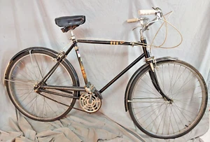 1968 Sears Cruiser Bike Large 20" Shimano 3S 333 Internal Hub Steel XX - Picture 1 of 20