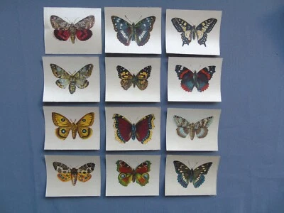 Lea Large Set of 12 Butterflies and Moths (paper backed silk) 1925 - Very Good - Image 1 of 4
