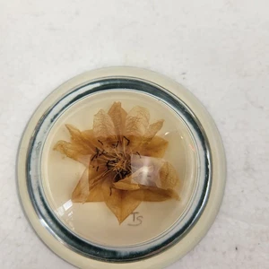 Peso de papel de escritorio flores silvestres secadas al sol por TS vidrio vintage en perfecto estado - Imagen 1 de 4