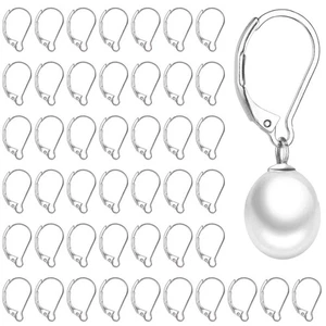 50pcs Stainless Steel Lever Back Earring Clasps, leverback French Earring Ho... - Picture 1 of 6