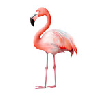 Autoaufkleber Sticker Watercolor Flamingo Aufkleber