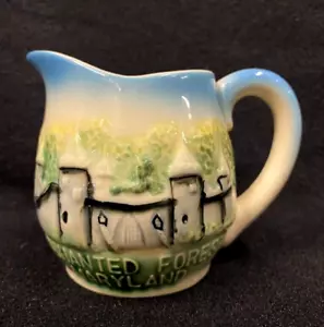 Jarra crema jarra crema vintage Enchanted Forest Ellicott City MD recuerdo raro - Imagen 1 de 6