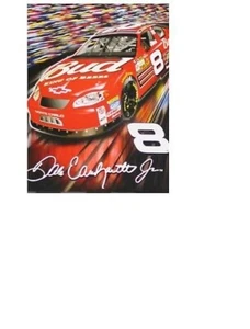 Dale Earnhardt Jr. #8 50" x 60" Team Logo Super Soft Plush Blanket FREE SHIPPING - Picture 1 of 1