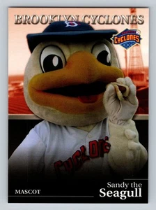 2008 Choice Brooklyn Cyclones #39 Sandy the Seagull Brooklyn Cyclones - NM/MT - Picture 1 of 2