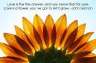 sunflower INSPIRATIONAL POSTER JOHN LENNON QUOTE classic music 1973 20x30 
