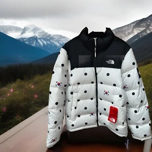 The North Face 700 Fill Nuptse Jacket IC Edition South Korea Mens Large RARE - Picture 1 of 11