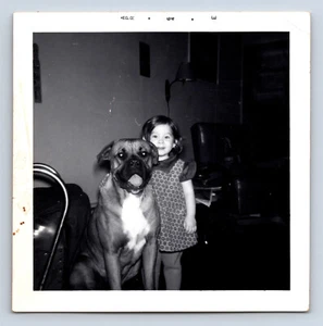 Vintage Foto süßes Mädchen mit großem Haustier Boxer Hund 1964 3,5 x 3,5 cm - Bild 1 von 2