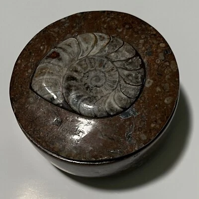 Joyero de piedra fósil auténtico fósil de amonita en roca sedimentaria marina Foto 1 de 4