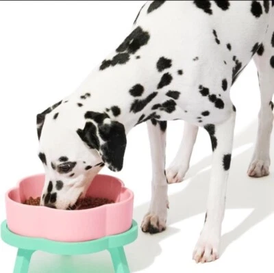VETRESKA Elevated Dog Bowl Raised Ceramic Cat Dog Bowls Large Breed - Image 1 of 4