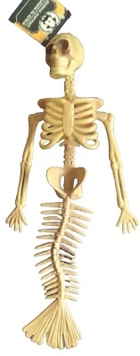 Mermaid Skeleton 14" Hanging Bones Goth Halloween Haunted House Graveyard NEW - Image 1 of 2