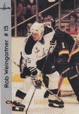1994-95 Wichita Thunder #15 Rob Weingartner