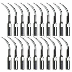 20pcs Dentaire Ultrasonic Scaler Perio Scaling Tip PD1 GD1 Fit DTE Satelec