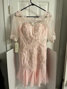 JJ’s House Short Lace Wedding Dress With Sleeves Pink Women’s Size 8-10 NWT - Picture 1 of 21