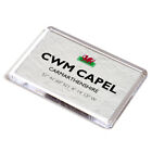 FRIDGE MAGNET - Cwm Capel, Carmarthenshire, Wales - Lat/Long SN4502