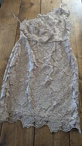 Gina Bacconi Kaleidoscope Champagne Lace Shift Dress, Warn Once - Picture 1 of 5