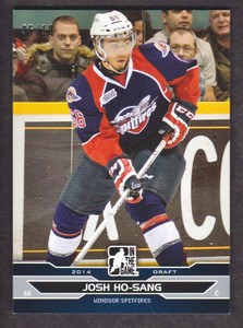 2014-15 ITG Draft Prospects Hockey Silver #16 Josh Ho-Sang 06/10