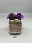 Mason jar Burlap Tea Chic Home Decor with beautiful flowers