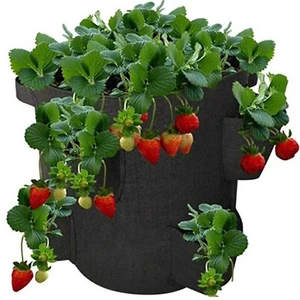 Felt Strawberry Planter Grow Bag with 8 Pockets and Handles Outdoor � Black - Picture 1 of 3