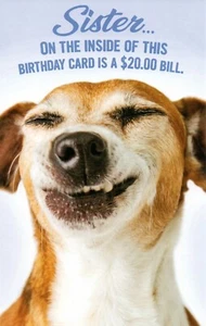 Funny BIRTHDAY Card FOR SISTER, $20 Bill Lying Dog by Stockwell Greetings +✉ - Picture 1 of 5