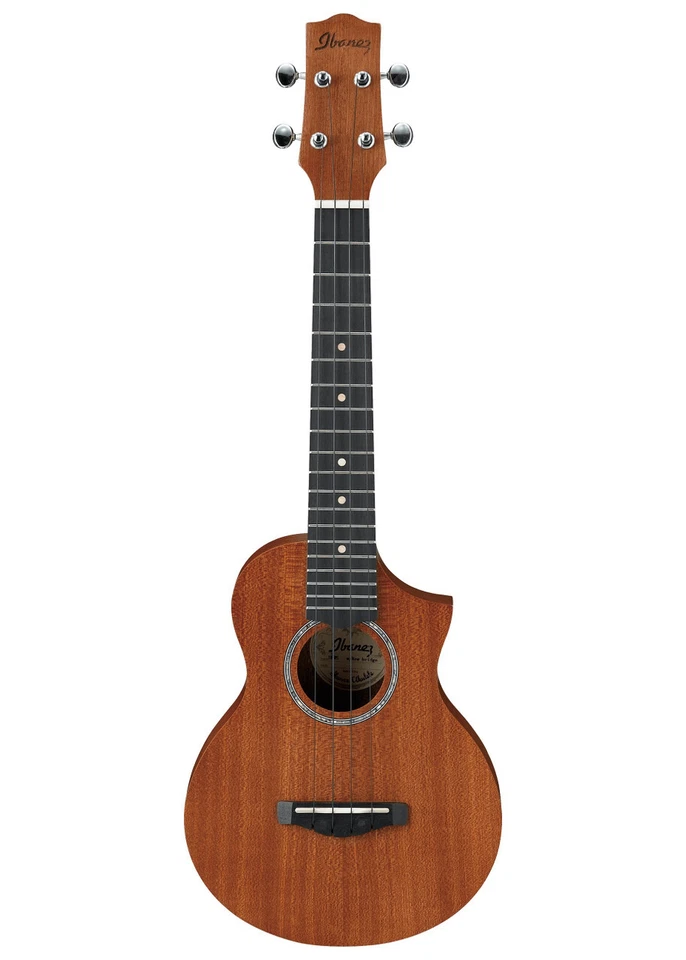 Ibanez UEW5 Concert Ukulele Open Pore Natural - Image 1 of 1