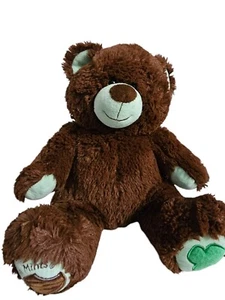 Build a Bear Girl Scout Thin Mint Cookie Plush Bear - Picture 1 of 5