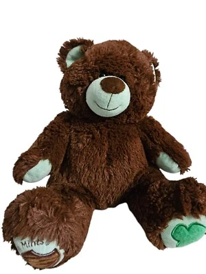 Build a Bear Girl Scout Thin Mint Cookie Plush Bear - Image 1 of 4