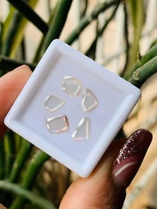 5 Pcs Loose Lab Grown Moissanite Slice - Flat Round Diamonds - Picture 1 of 11