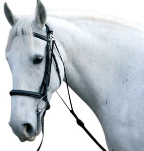 Hy Equestrian Chambon Long & Low Lunging Lunge Training Aid Cob/Full Black - Picture 1 of 2