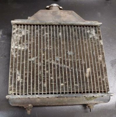 Enfriador de radiador Polaris Sportsman 4x4 400 400 L Sport 350 L Xplorer Trail Big Boss Foto 1 de 2