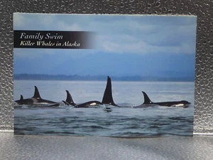 Postal topográfica familiar de ballenas asesinas nadadoras en paisaje marino de Alaska Mark Kelley - Imagen 1 de 2